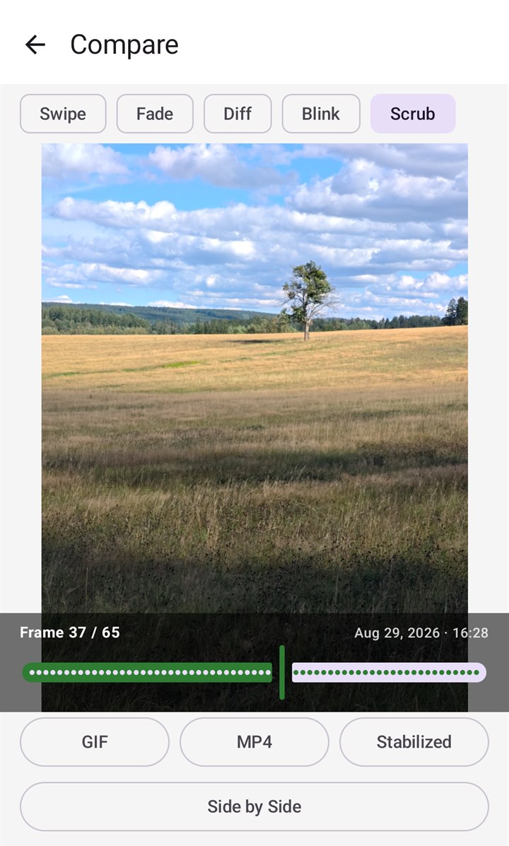 The Compare screen in Scrub mode: frame 37 of 65, the lone tree on 29 August 2026, with a slider along the bottom to move through every frame.